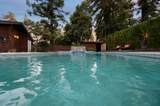 2943 Border Links Drive - Photo 61
