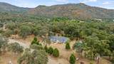 46529 Butternut Lane - Photo 59