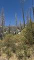 36980 Peterson Road - Photo 1