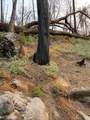 36980 Peterson Road - Photo 15