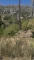 36980 Peterson Road - Photo 7