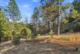 1235 Naturewood Drive - Photo 81