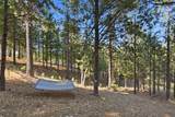 1235 Naturewood Drive - Photo 84