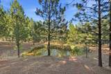 1235 Naturewood Drive - Photo 85