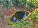 1235 Naturewood Drive - Photo 96