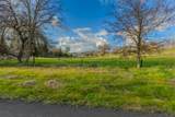 Tule Oak Drive - Photo 4