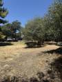 40831-#d Balch Park - Photo 10