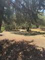 40831-#d Balch Park - Photo 12