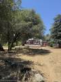 40831-#d Balch Park - Photo 2