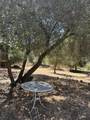 40831-#d Balch Park - Photo 5