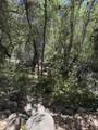 40831-#d Balch Park - Photo 6