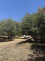 40831-#d Balch Park - Photo 9