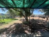 26221 Road 164 - Photo 22