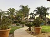 12165 Avenue 322 Street - Photo 18
