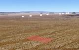  Buckthorne Canyon Road - Photo 5