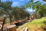 45771 Mineral King Road - Photo 82