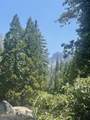 16 Coy Flat Road - Photo 19