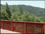 45766 Carlin Drive - Photo 6