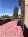 45766 Carlin Drive - Photo 9