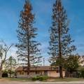 1101 Laurel Avenue - Photo 48
