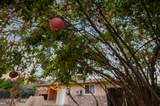 1101 Laurel Avenue - Photo 59