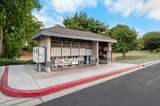 4705 Linda Vista Street - Photo 43