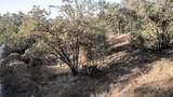  Meadow Ridge Lane - Photo 10