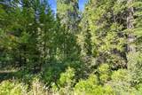 39730 Foxglove Lane - Photo 6
