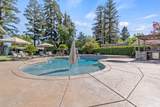 587 Camelia Avenue - Photo 50