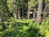 0 Foxglove Lane - Photo 25
