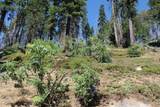 53434 Redwood Drive - Photo 55