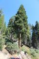 53434 Redwood Drive - Photo 60
