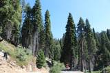 53434 Redwood Drive - Photo 61