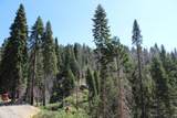 53434 Redwood Drive - Photo 62