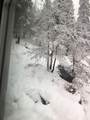 53434 Redwood Drive - Photo 78