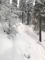 53434 Redwood Drive - Photo 81