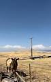 28002 Ave 56 - Photo 49