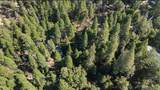 1482 Coy Flat Dr - Photo 6