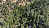 1482 Coy Flat Dr - Photo 7