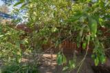 91 Silver Maple Way - Photo 34