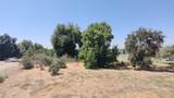 509 Farmersville Boulevard - Photo 6