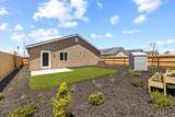 30631 Marigold Road - Photo 11