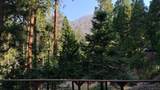 51867 Cedar Road - Photo 10