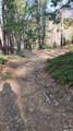 51867 Cedar Road - Photo 30