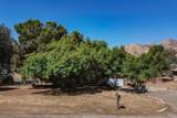 42092 Fork Drive - Photo 38