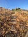 52905 Alpine Drive - Photo 7