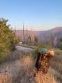 52905 Alpine Drive - Photo 8