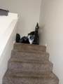 229 Harold Court - Photo 22