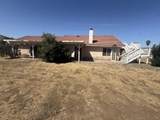 16732 Goat Ranch Road - Photo 11