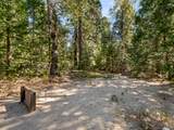 39411 Pond Lane - Photo 65